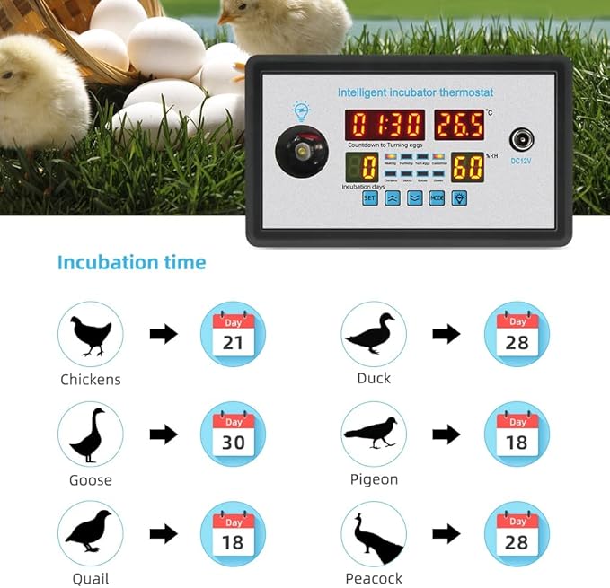ZFX-W9002 Smart Thermostat Digital Temperature Humidity Control Incubator 360 Automatic Egg Turning 12V