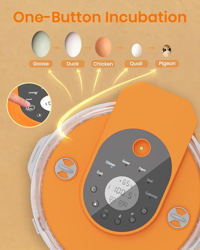 Incubators for Hatching Eggs,15 Egg Incubator with Automatic Egg Turner,Temperature & Humidity Control，Egg Candler,Incubators with 2 Trays, 360° Viewing for Hatching Chicken Duck Goose Quail Bird