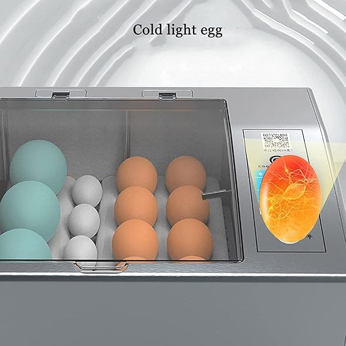Small Chicken Egg Incubator Small Household Incubator Fully Automatic Eggs Digital Incubator Automatically Turn Eggs Humidity Display (24 double batteries)