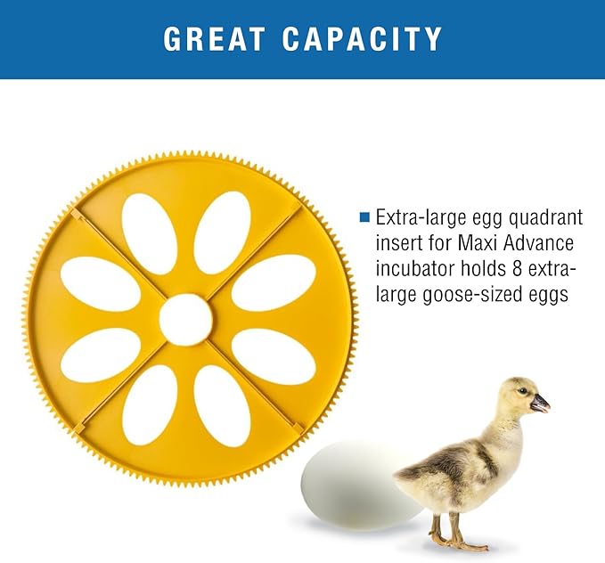 Brinsea Extra Large Egg Quadrant Insert for Maxi Advance Incubator System, Fits 8 Goose-Size Eggs