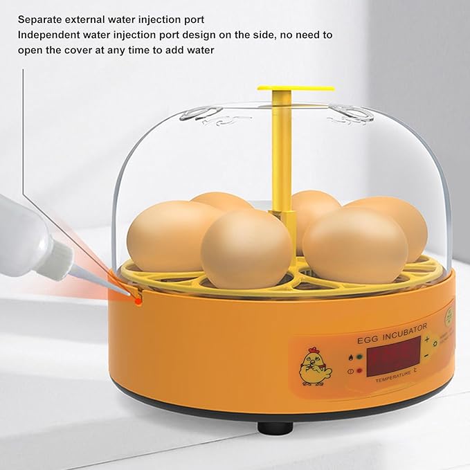 Pyhodi 6 Egg Incubator, Automatic Temperature and Humidity Control, Visual Observation, Suitable for Chicken Duck Eggs, Low Noise Automatic Egg Turning Incubator for Hatching (US Plug