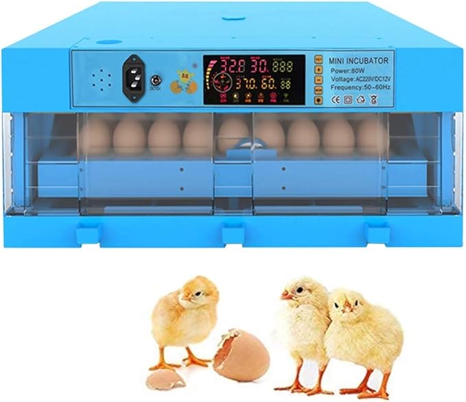 64 Digital Egg Incubators Automatic Turning Chicken Duck Dove Quail Poultry Hatcher Hatching Eggs Temperature Control