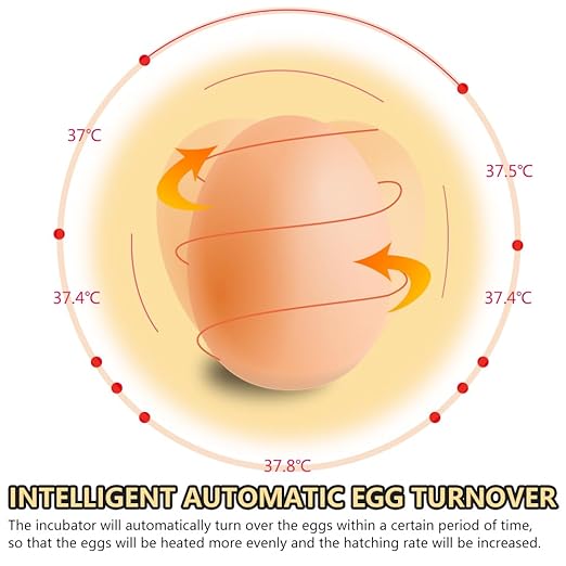 CROSSDESIGN Automatic Digital Egg Incubator 48 Eggs Poultry Hatcher Machine Breeder w/Temperature Control & Auto Turning for Hatching Chicken Duck Goose Quail Birds