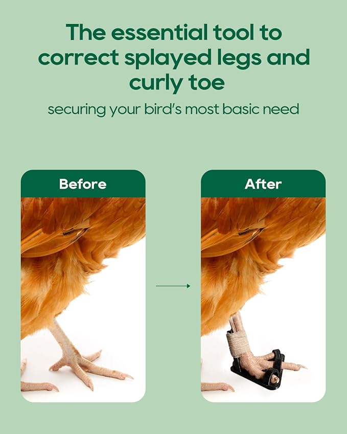 6Pcs Black Chicken Leg Splints,Bumble Foot Treatment, for All Growth Stages Adjustable Splint for Broken Feet, osteoarthritis, Curled Toes, Splay Leg Ideal Chicken Gifts for Hen Health Care
