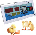 Egg Incubator Controller 110V Microcomputer Automatic Intelligent Temperature Humidity Control Thermostat for Chicken Quail Pigeons (#1)