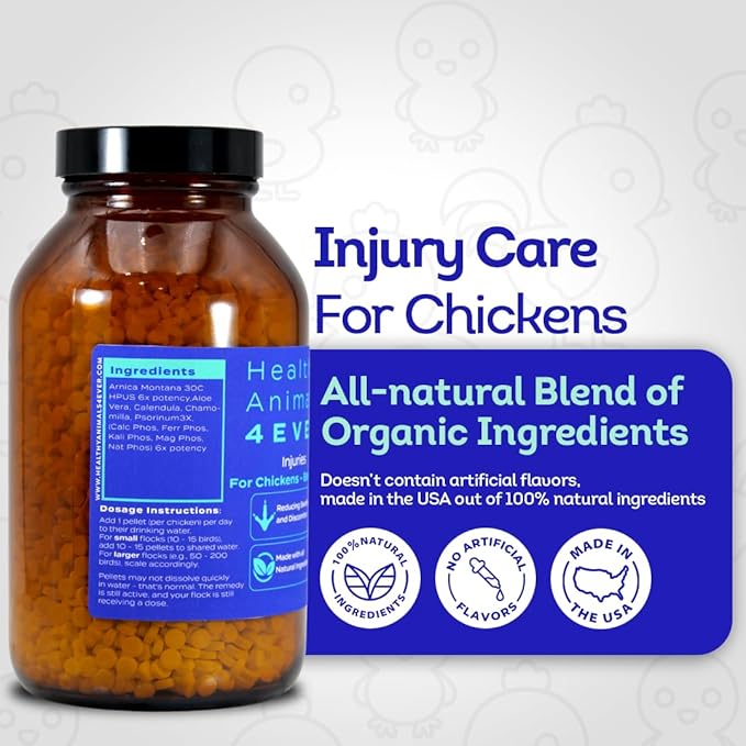 HA4E - Chicken Injury Supplement - Supports Recovery from Accidents & Injuries - Highly Effective, Natural Homeopathic Tablets - Barn Size (Extra Large)