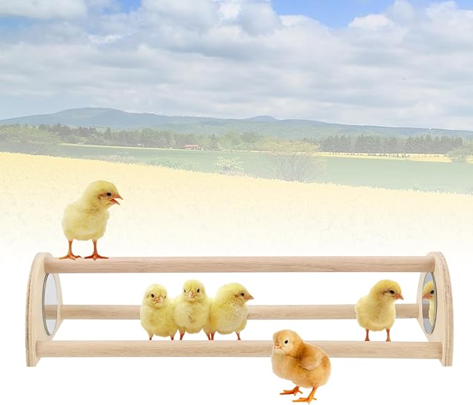 JEUIHAU 2 PCS 13 Inch Wooden Chick Training Perch with Mirror,Perches Stand Chicken Roosting Bar for Parrots and Small Chicks