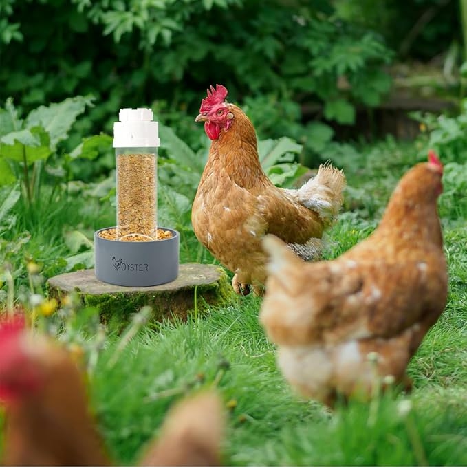 2 Pack Transparent PVC Chicken Feeder, Oyster Shell and Grit Feeder Hanging Ground Chicken Coop Feeder with Hanging Hook for Hens & Chicks (Grey)