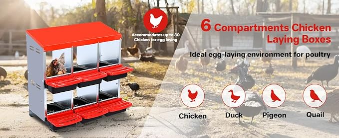 Chicken Nesting Box, 6 Compartment Roll Away Eggs Laying Boxes