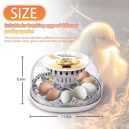 Incubators for Hatching Eggs Incubator with Automatic Egg Turning and Humidity Control, 360° Clear View, Poultry Incubator for Hatching Chicken, Duck, Quail, Pigeon, Goose Eggs (White)