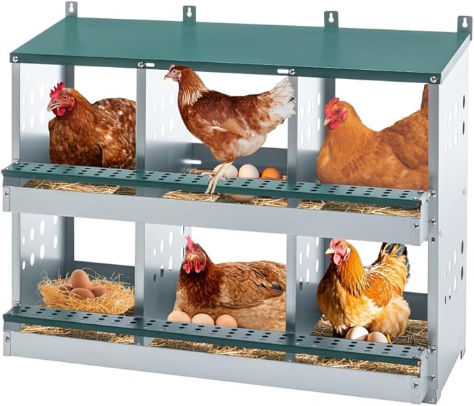Durable Plastic Chicken Nesting Box for Hens – Roll-Away Egg Collection Design with Ventilation and Easy-Clean Surface (6-Hole,Green-1)