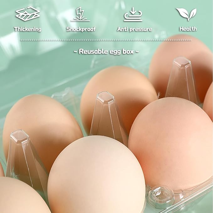 Septo 2 x 6 Plastic Egg Cartons for 12 Eggs,50 Pcs Egg Cartons Cheap Bulk Clear Reusable Tray Refrigerator Chicken Farm Markets