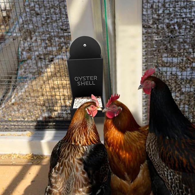 Chicken Oyster Shell and Grit Feeder, Hanging Chicken Feeder Trough, Oyster Shell Feeders for Chickens, Chicken Coop Accessories, Gravity Poultry Feeder, Automatic Chicken Feeders (Black)