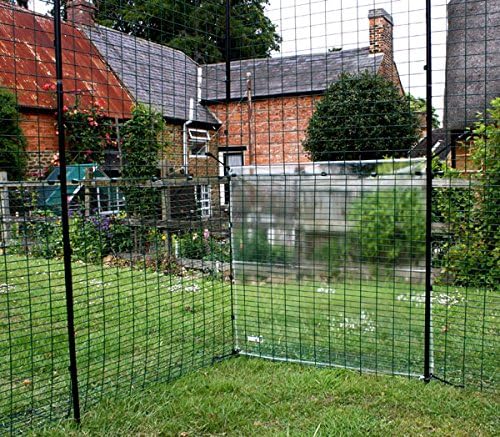 Clear Tarp for Chicken Run - Side Panel | Durable, Made from Thick, Clear Plastic, Allowing Sunlight Through Whilst Keeping The rain, Hail and Snow Out