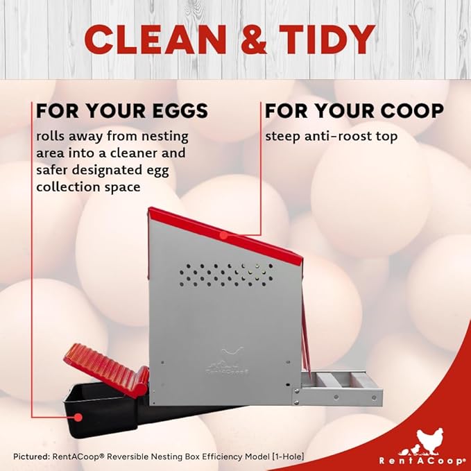 RentACoop Roll-Out Reversible Nesting Box Suite (3 Compartment) for Chickens, Ducks, Poultry