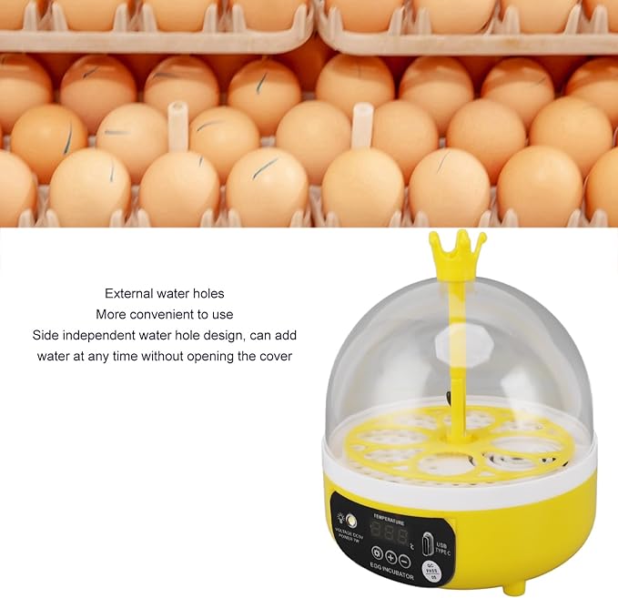 Mini Egg Incubator, Automatic Temperature and Humidity Control, 4 Egg Incubators for Chickens, Ducks, Pigeons, Suitable for Home, School (Automatic Spinning)