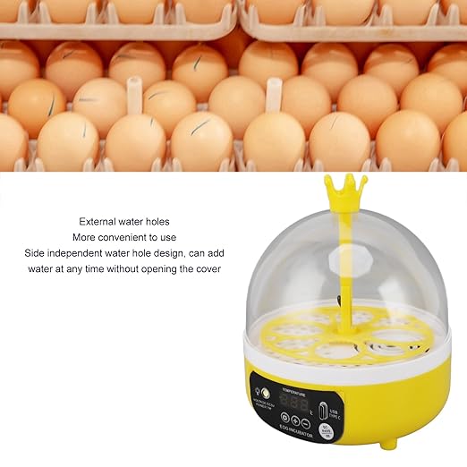 Mini Egg Incubator with Automatic Temperature and Humidity Control, Transparent Lid for Observation, for Chicken, Duck, Eggs (Manual Turning)