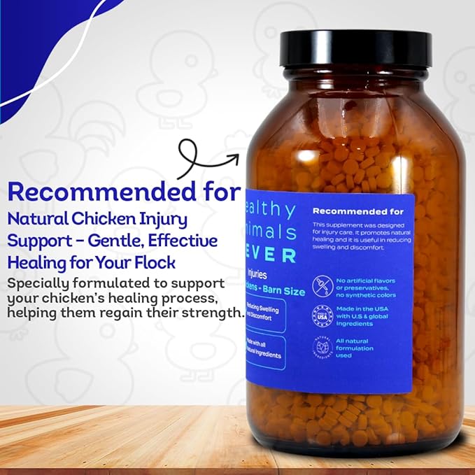 HA4E - Chicken Injury Supplement - Supports Recovery from Accidents & Injuries - Highly Effective, Natural Homeopathic Tablets - Barn Size (Extra Large)