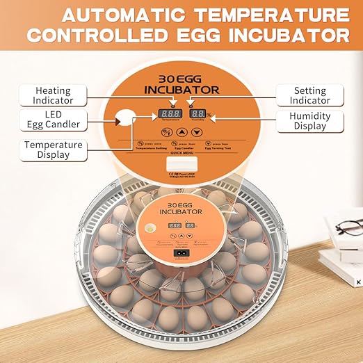 incubators for Hatching Eggs，30 Egg Incubator,Egg Incubator with Automatic Egg Turning，Incubator for Chicken Eggs，Chicken incubators for Hatching Eggs，Quail Egg Incubator