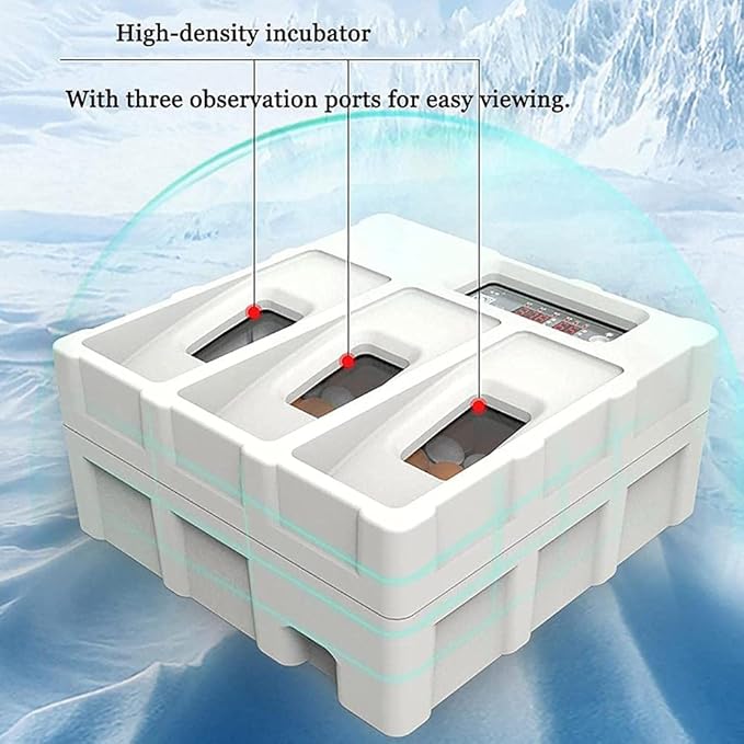 Small Chicken Egg Incubator Small Household Incubator Fully Automatic Eggs Digital Incubator Automatically Turn Eggs Humidity Display (6 double batteries)