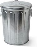 Plexon 5 Gallon Small Metal Trash Can with Lid Outdoor Galvanized Trash Can with Lid 5 Gal Ash Bucket for Bird Seed Container