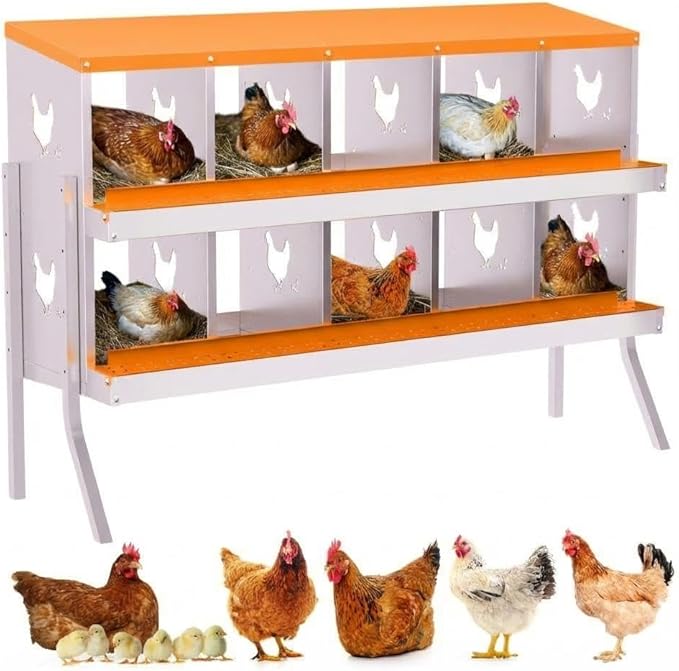Chicken Nesting Box,10 Holes Galvanized Steel Metal Chicken Laying Box with Automatic Roll-Away Egg Collection System & Removable Tray,Wall Mount Nesting Boxes