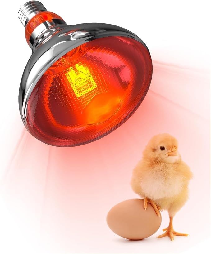 Heat Lamp Bulbs for Chickens Coop Brooder,250 Watt Reptile Heat Lamp Bulb Infrared Red Light for Chicks,Birds,Ducks,Dogs,Cats (Heating Lamp Not Included)