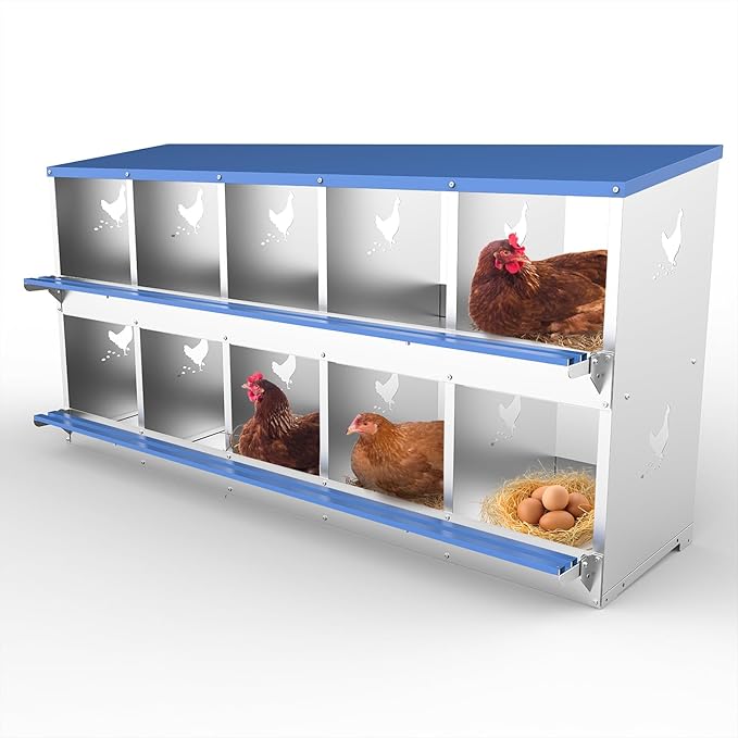 10 Compartments Chicken Nesting Box Laying Boxes for Chicken Hens Ducks Poultry Protect Eggs Chicken Coop Easy Egg Collection Wall Mount Metal Nest Box for Chicken Coop