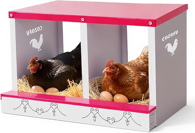 2 Hole Chicken Nesting Box for Laying Hens - Automatic Rollout Egg Collection, Heavy Duty Metal Nesting Boxes with Swing Perch for Chicken Coops, Secure & Easy Clean Poultry Nest Box