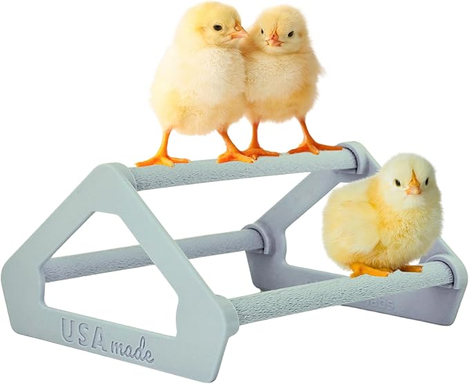 Roosting Perch for Baby Chickens, Chick Brooder Coop Training Toy Accessory, Easy Click Together Assembly, Durable Plastic, Mix and Match Colors, USA Made (Gray, 1 Pack)