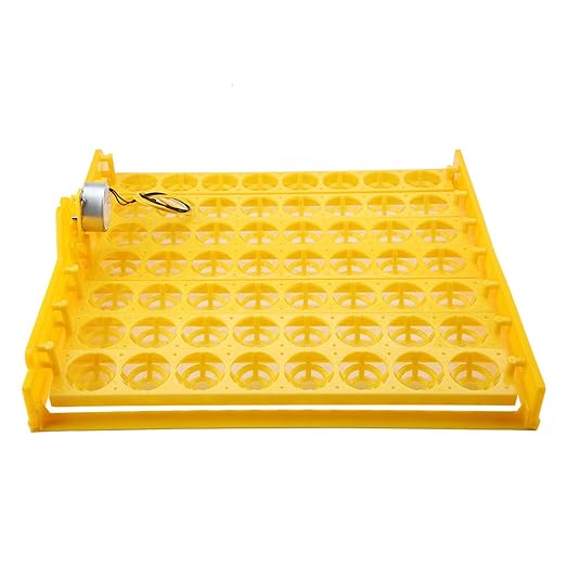 56 Egg Mini Egg Incubator with Automatic Turning Tray and Motor, Ideal for Poultry Hatching