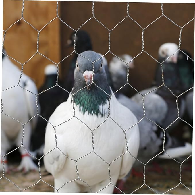 1 Roll Heavy Duty Galvanized Chicken Coop Wire Fencing X Poultry Barrier Netting for Garden Easy Installation Secure Enclosure Improved Airflow and Ventilation