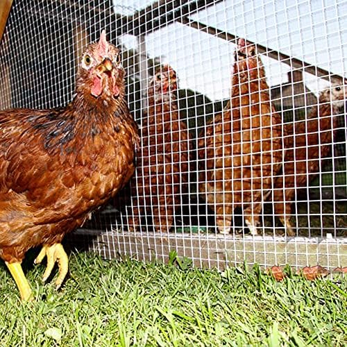 Durable Stainless Steel Welded Wire Mesh for Chicken Coop Fencing, Heavy-Duty Poultry Netting (0.3 * 7.6m) with Pliers - Ideal Garden Safety Solution