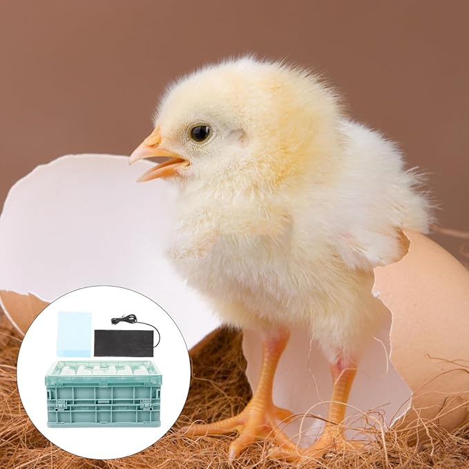 KESYOO 1Set Parrot Brooder Box with Heating Pad Chick Incubator for Young Birds Foldable and Spacious Design Safe Materials for Healthy Breeding Supplies