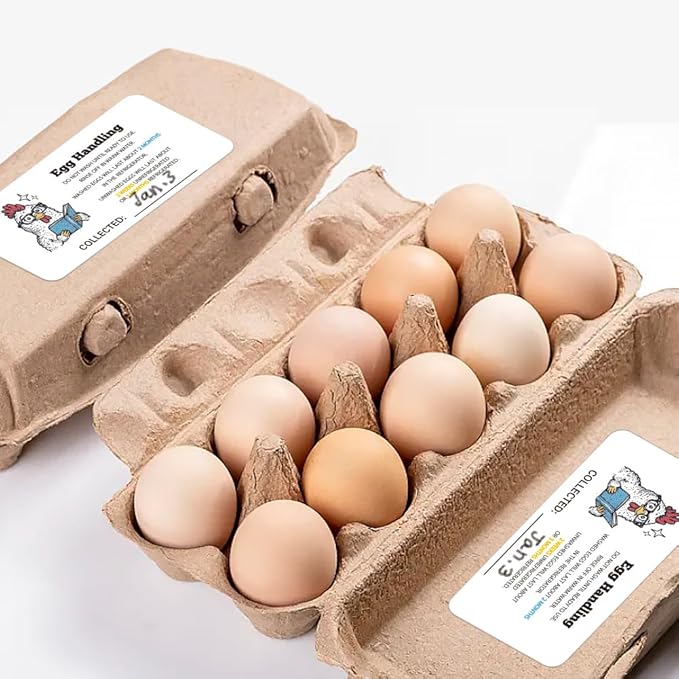 160 Pcs Egg Carton Labels, Eggs Handling Stickers Farm Fresh Laid on Sticker PET Adhesive Egg Packaging Sticker for Box Container Carton Farm Supplies, 2x4 Inch