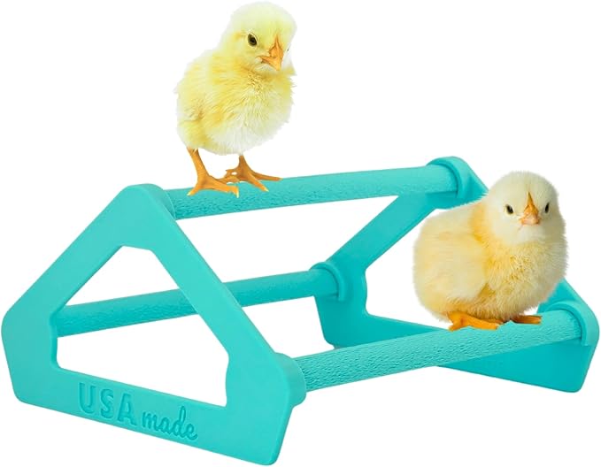 Roosting Perch for Baby Chickens, Chick Brooder Coop Training Toy Accessory, Easy Click Together Assembly, Durable Plastic, Mix and Match Colors, USA Made (Turquoise, 1 Pack)