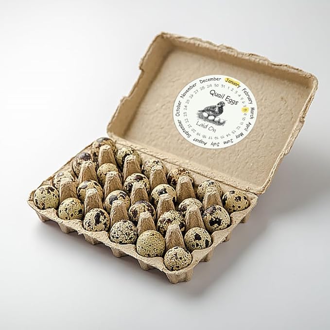 320 Pcs Quail Farm Fresh Eggs Stickers, 2 Inch Round Unwashed Eggs Carton Labels Sticker PET Adhesive Egg Packaging Stickers for Box Container Carton Farm Supplies