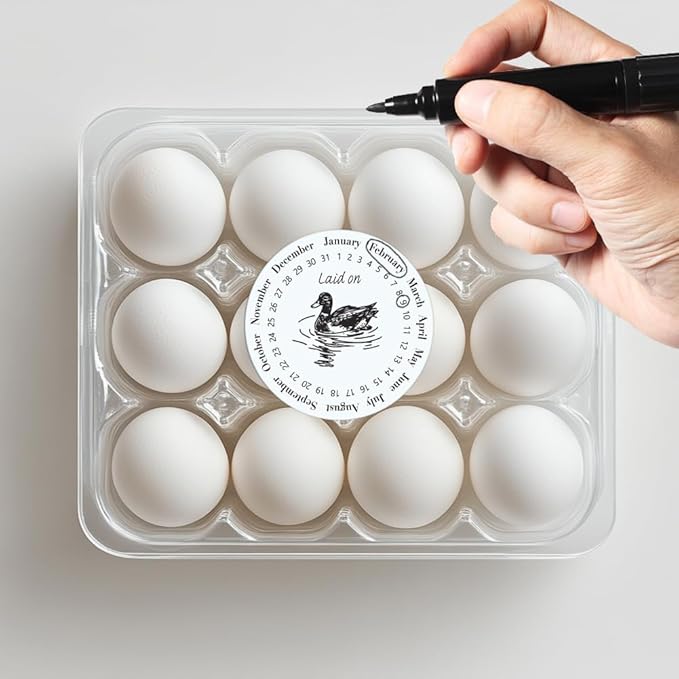 320 Pcs Duck Egg Laid on Stickers, 2 Inch Round Farm Fresh Eggs Sticker Round Eggs Stickers PET Adhesive Egg Packaging Sticker for Box Container Carton Farm Supplies