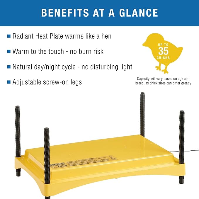 Brinsea Ecoglow Safety 1200 Chick or Duckling Brooder, Adjustable Height & Angle Brooder Plate, Ideal for Chicken Coops Poultry Heating with Safety Indicator, 18 Watts