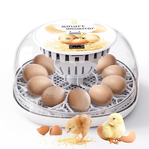 Incubators for Hatching Eggs Incubator with Automatic Egg Turning and Humidity Control, 360° Clear View, Poultry Incubator for Hatching Chicken, Duck, Quail, Pigeon, Goose Eggs (White)