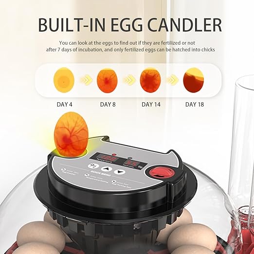 Incubators for Hatching Eggs Incubator with Automatic Egg Turning and Humidity Control, 360° Clear View, Poultry Incubator for Hatching Chicken, Duck, Quail, Pigeon, Goose Eggs (Black)