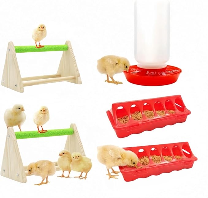 12-Hole No-Scratch & Spill-Proof Chick Feeder, Leak-Resistant Chick Waterer, and Poultry Waterer with Perches - Complete Brooder/Coop Starter Kit for Raising Poultry (E Set)