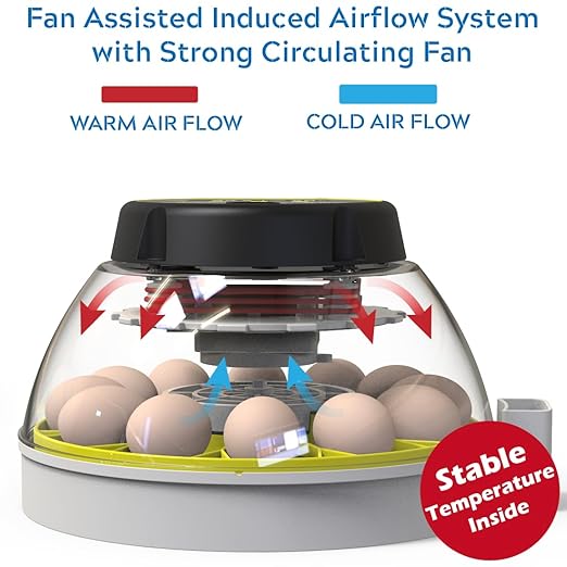 12 Egg Incubator with Humidity Display, Egg Candler, Automatic Egg Turner, for Hatching Chickens