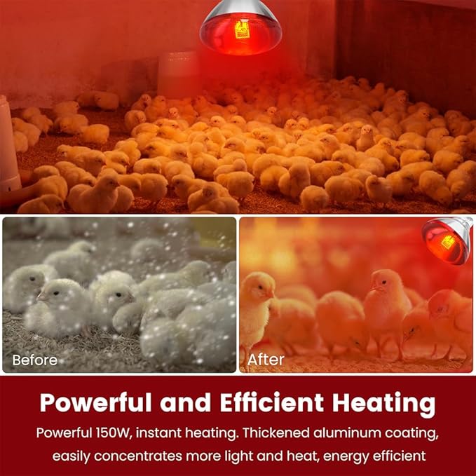 Infrared Heat Lamp Bulb for Chickens Red Heat Lamp Flood Light Heat Lamp Bulb 150 W Heating Bulbs for Brooder Coops Pets Chicks Reptiles Food Service (2 Pack)