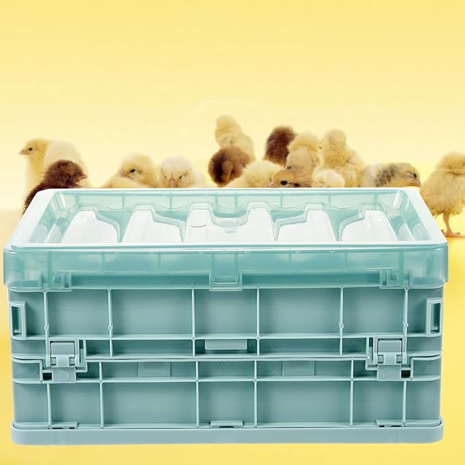 KESYOO 1Set Parrot Brooder Box with Heating Pad Chick Incubator for Young Birds Foldable and Spacious Design Safe Materials for Healthy Breeding Supplies