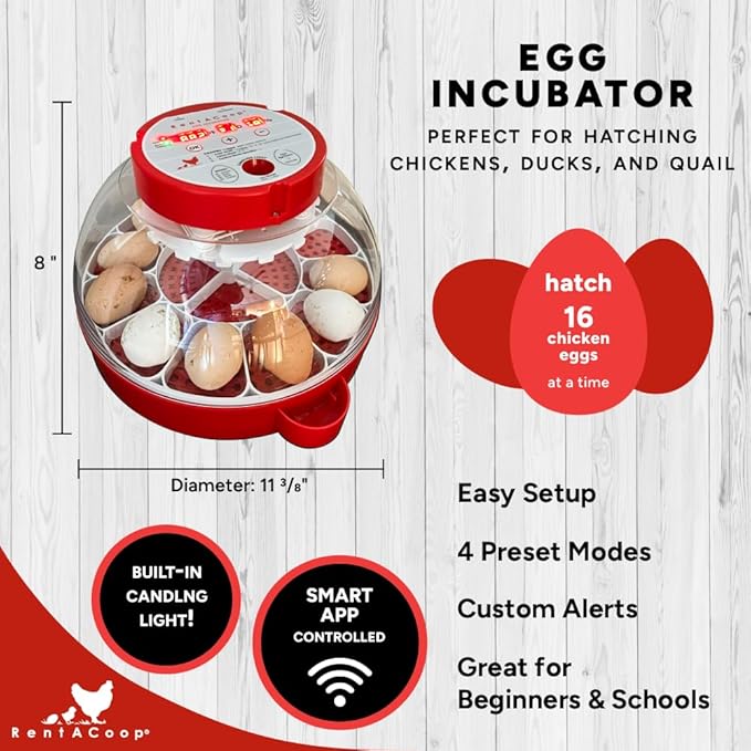RentACoop 16-Egg Smart Incubator – App Controlled, Auto-Turn, Built in Candeling Light Perfect for Chickens, Ducks, and Quail!