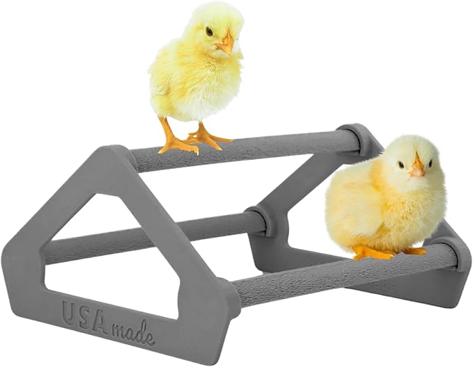 Roosting Perch for Baby Chickens, Chick Brooder Coop Training Toy Accessory, Easy Click Together Assembly, Durable Plastic, Mix and Match Colors, USA Made (Dark Gray, 1 Pack)