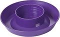 Little Giant® Screw-On Poultry Waterer Base | Heavy Duty Plastic Water Tray Base for Container | Chicken Waterer Screw on Base (Purple, 1 Count)