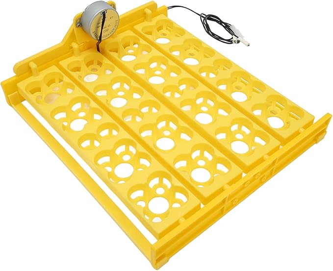 Egg Incubator Tray, Multifunction Automatic Egg Turner Incubator Tray Eggs Automatic Egg Turner Turning Tray for 16 Duck Eggs 16 Eggs 72 Quail Eggs Incubation (DC12V)