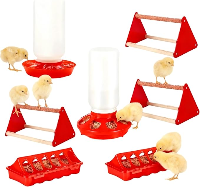 12-Hole No-Scratch & Spill-Proof Chick Feeder, Leak-Resistant Chick Waterer, and Poultry Waterer with Perches - Complete Brooder/Coop Starter Kit for Raising Poultry (G Set)
